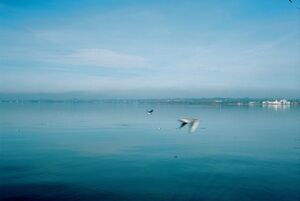 Bodensee&hellip;